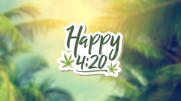 【420キャンペーン】衝撃の 42% オフ！そしてポイント42倍！